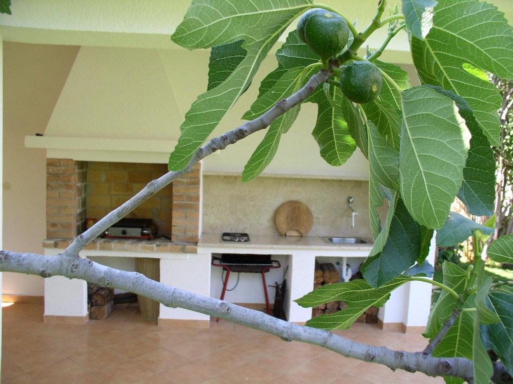 Apartments Paloma Blanca Medulin Zewnętrze zdjęcie